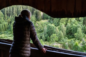 Pressemitteilung: Wilde Nacht